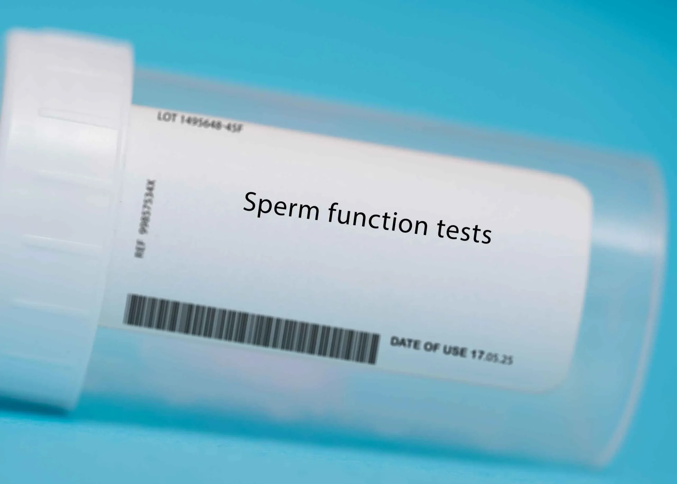 shutterstock_2310950009-convertido-de-jpg