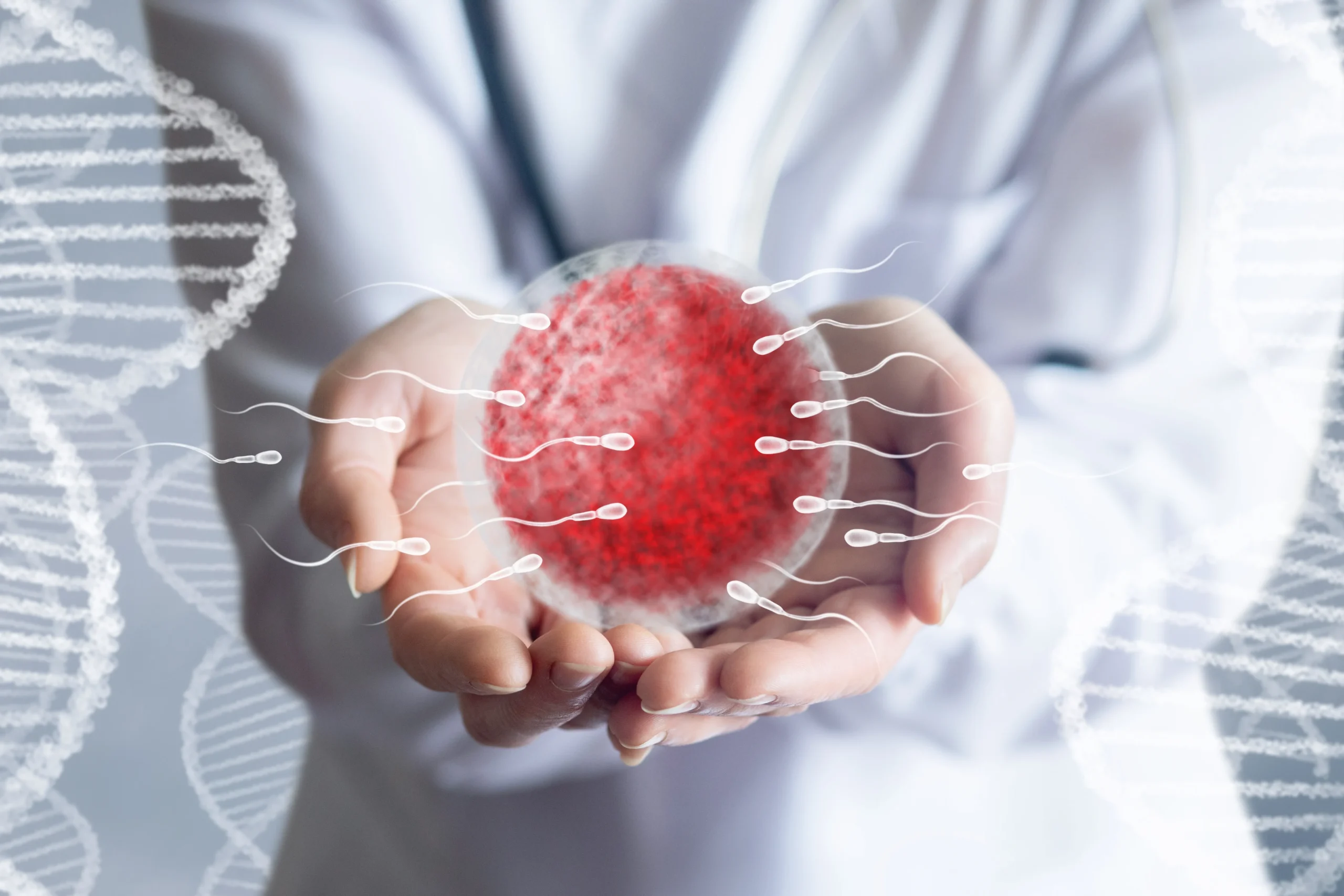 shutterstock_2427911825-convertido-de-jpg