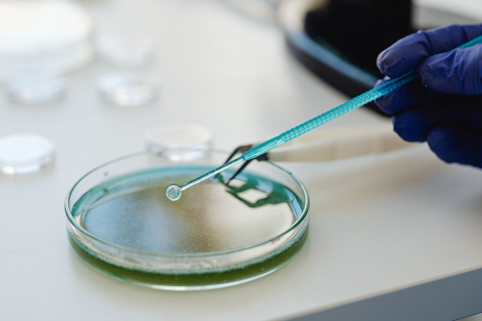 Fecundación In Vitro