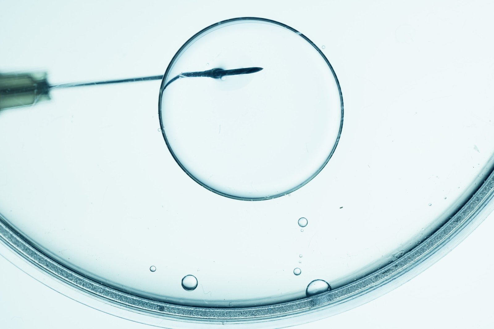 Inseminación Artificial